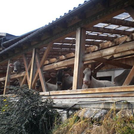 Weberhof Villa Trins Dış mekan fotoğraf