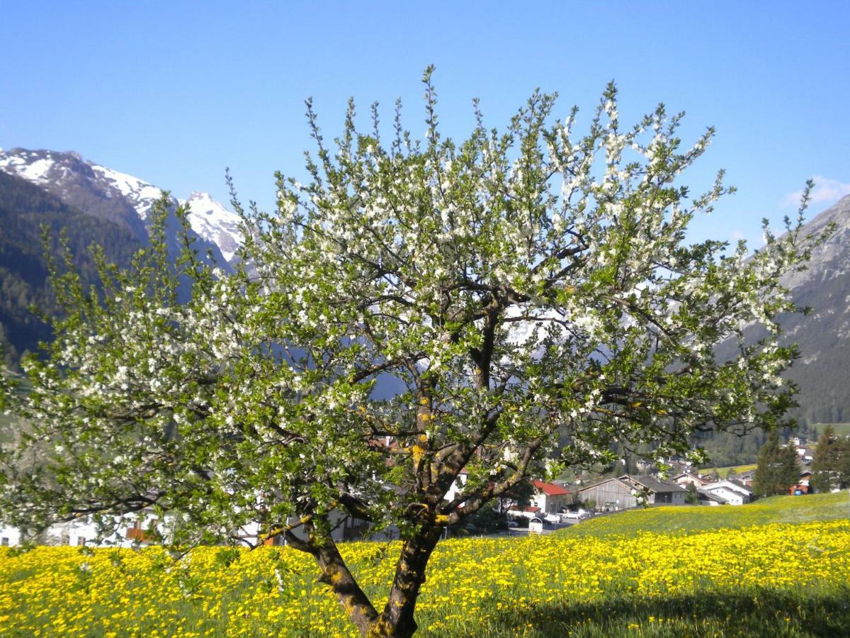 Weberhof Villa Trins Dış mekan fotoğraf